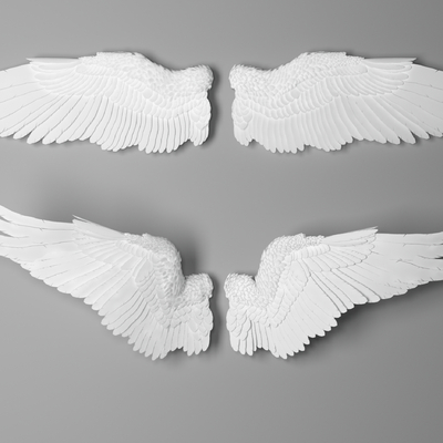 Modern Wings Wall Decoration