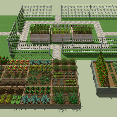 Modern Vegetable Garden