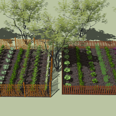 Modern Vegetable Garden