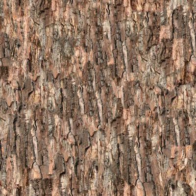 bark