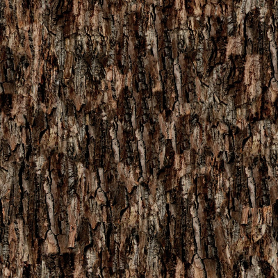 bark