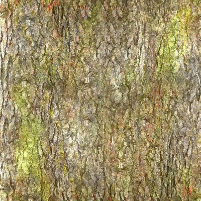 bark