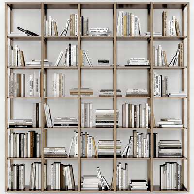 Modern Book Bookshelf