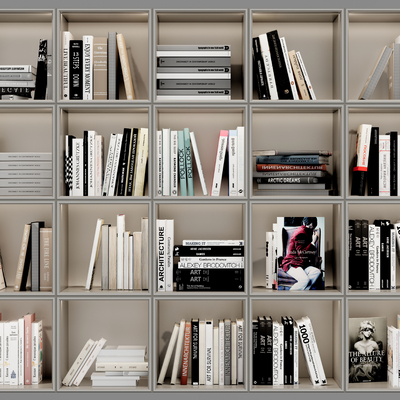 Modern Bookcase Books