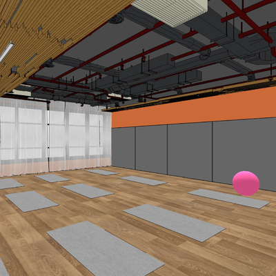 Modern Gym Dance Room