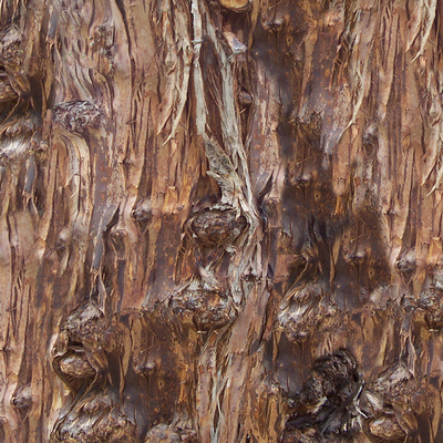 bark