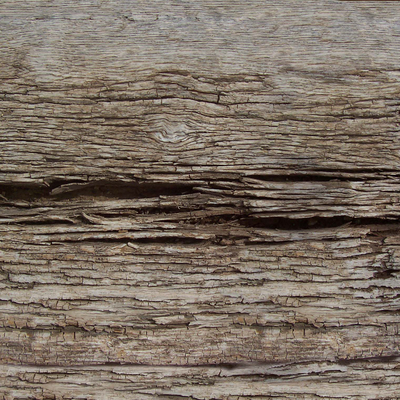 bark