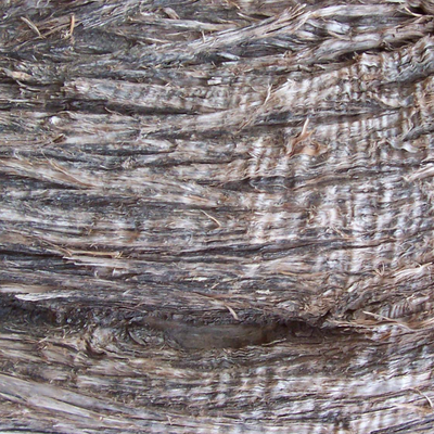 bark