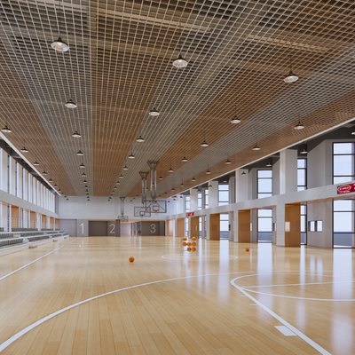 modern basketball hall