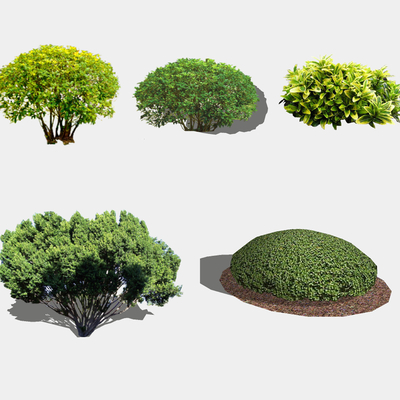 Modern ball shrubs