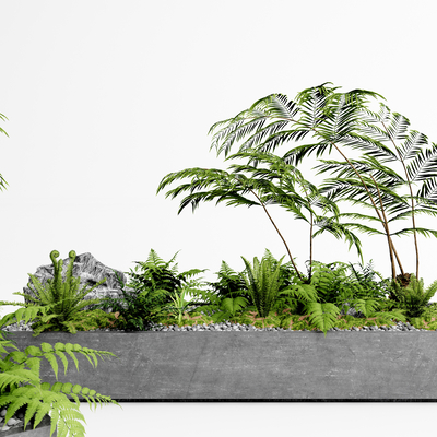 Modern Pot Fern