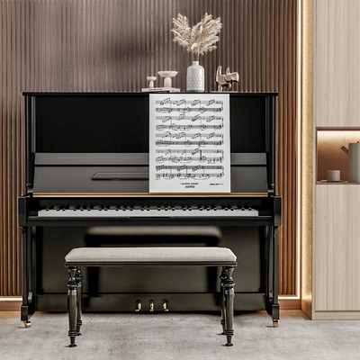 Modern Piano Room Piano