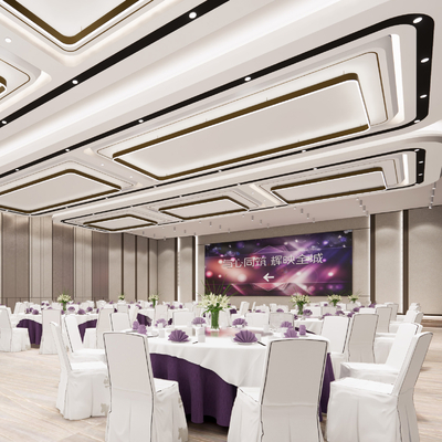 Modern Hotel Ballroom