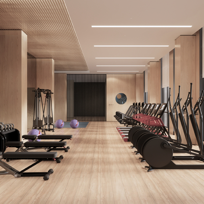 Modern Gym