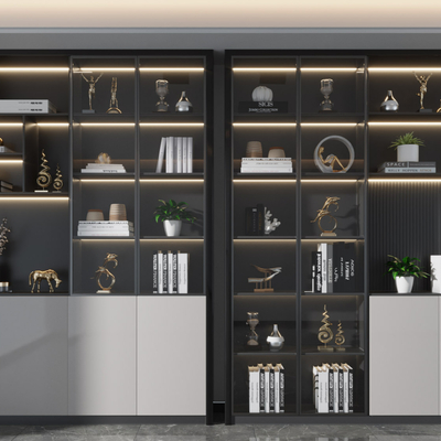 Modern Affordable Luxury Style Bookcase