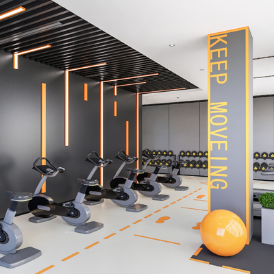 Modern Gym