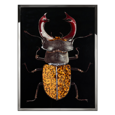 Beetle decorative painting