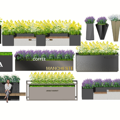 Modern Plant Flower Box