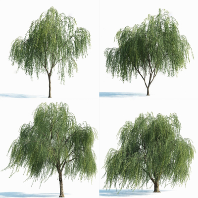 modern arbor