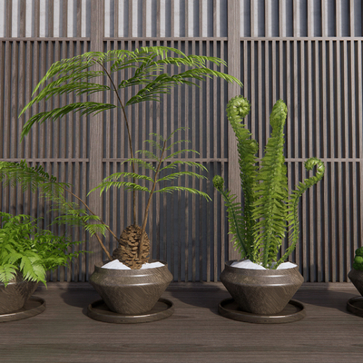 Modern Pot Fern