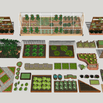 Modern Vegetable Garden