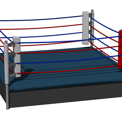 Modern boxing ring