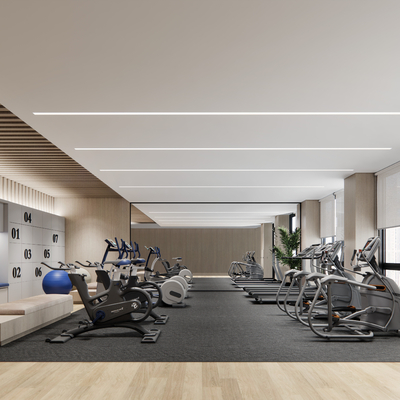 Modern Gym