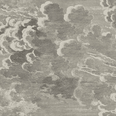 gray wave auspicious cloud carpet