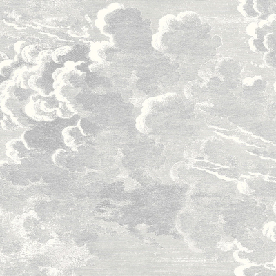 gray wave auspicious cloud carpet