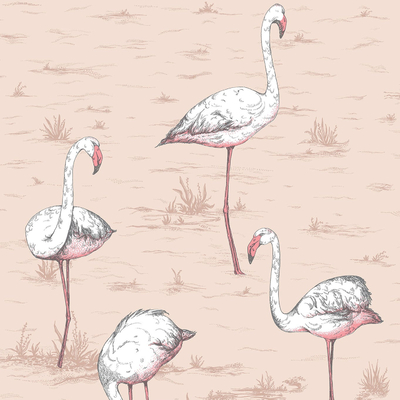 Pink Flamingo Animal Wallpaper