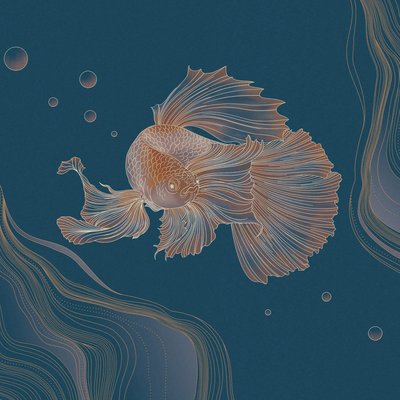 New Chinese Koi Fish Wallpaper