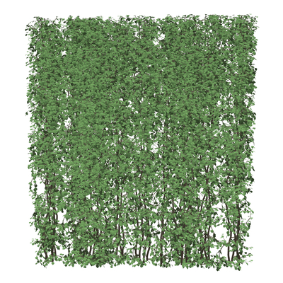 Modern Green Wall