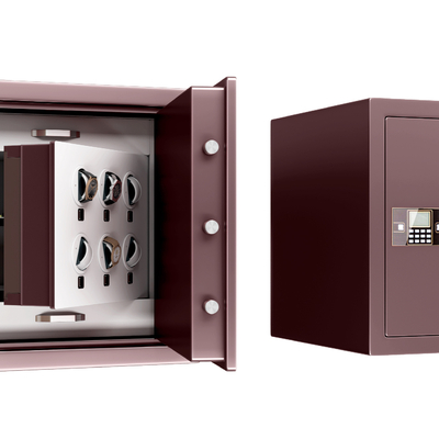 Modern Safe