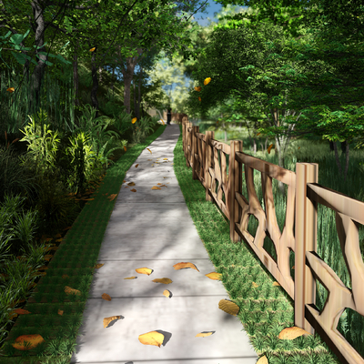 Modern Forest Ecological Trail