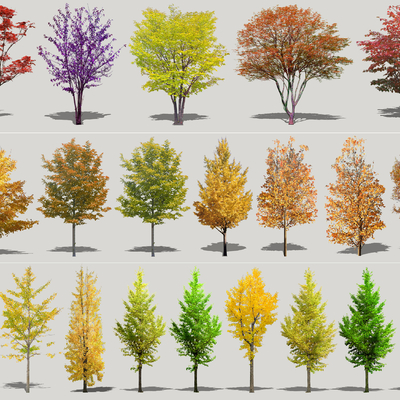 Modern Colored Flower Trees