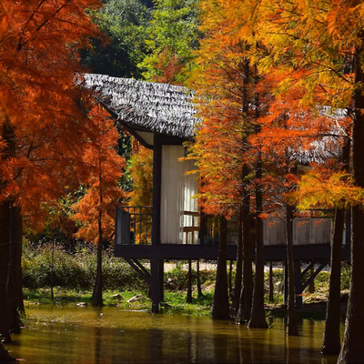 Modern Lakeside Tea Room