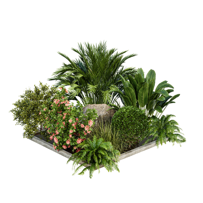 Modern Green Plant Shrubs