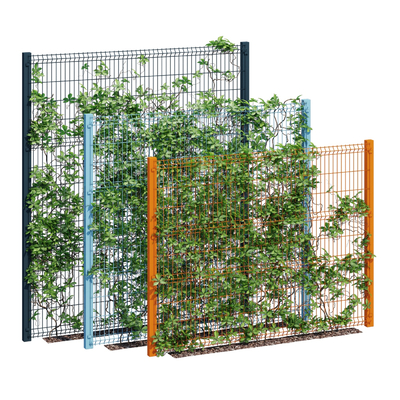 Modern iron fence plant vine