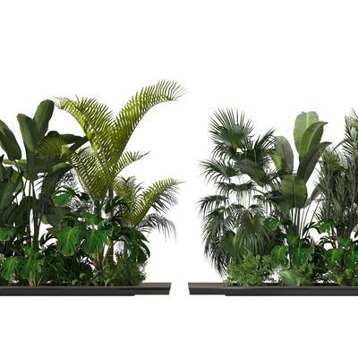 Modern Plants