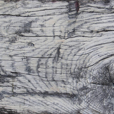 old wood gray wood grain