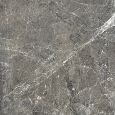 Mayan gray marble