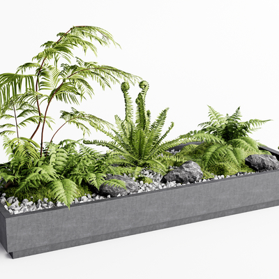 Modern Pot Fern