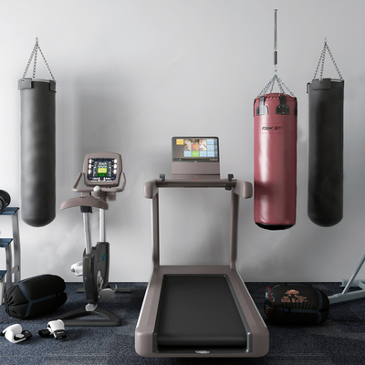 Modern treadmill boxing sandbag