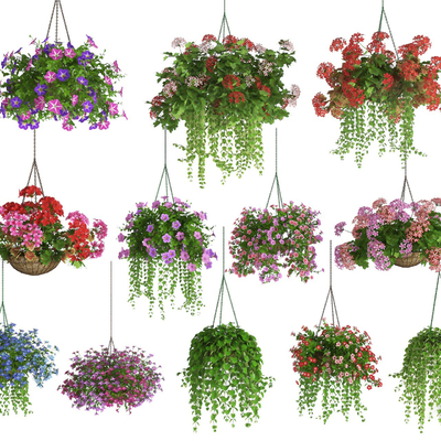 Modern Flower Hanging Basket