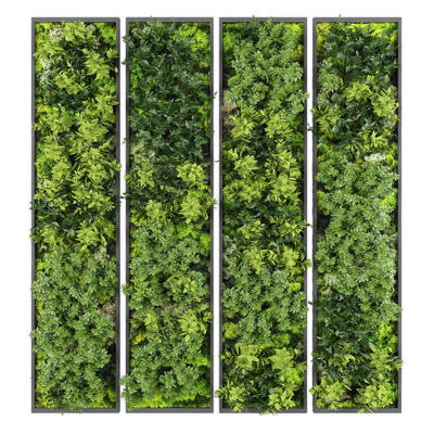 Modern Green Wall