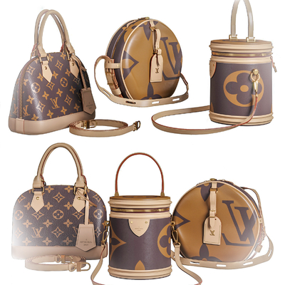 Modern LV Handbag