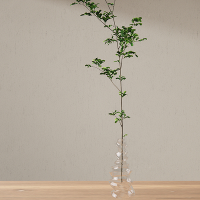 Modern Aquatic Plant Vase