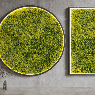 Modern moss plant wall