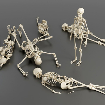 modern medicine human skeleton