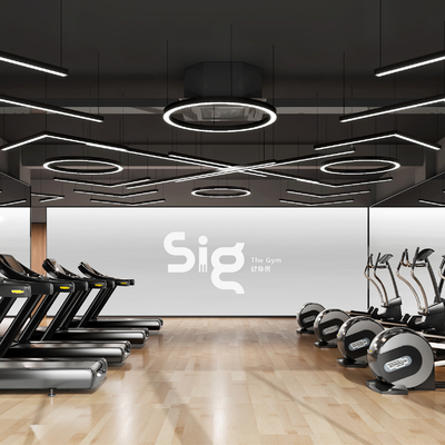 Modern Gym